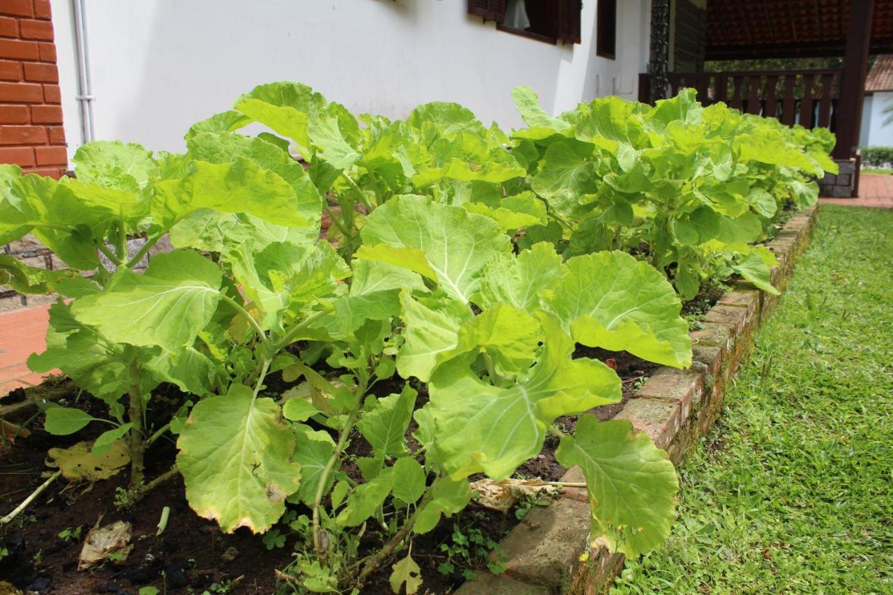Casa Incrivel Em Nova Friburgo - Espaco Humedica Luaran gambar